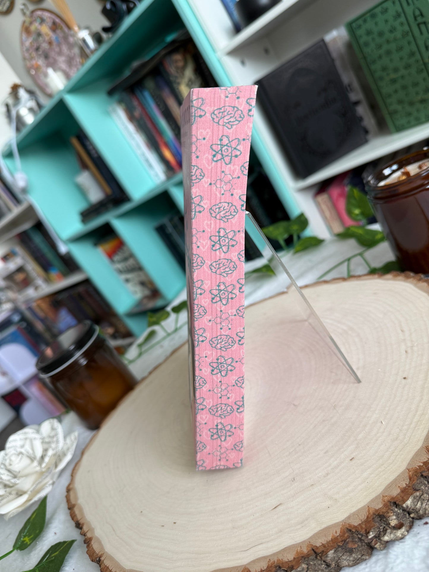 Ali Hazelwood STEM Romance Collection