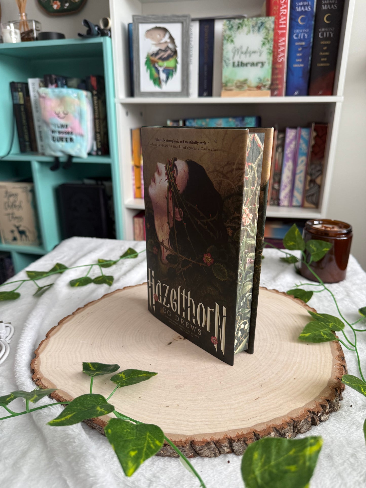 Hazelthorn and Don't Let The Forest In by CG Drews