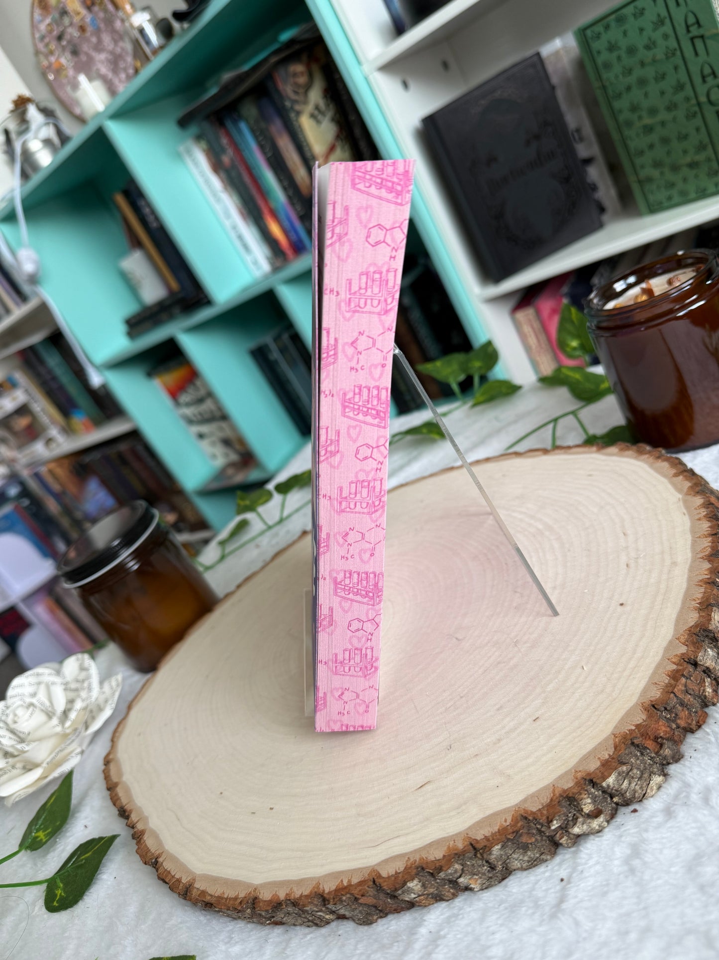 Ali Hazelwood STEM Romance Collection