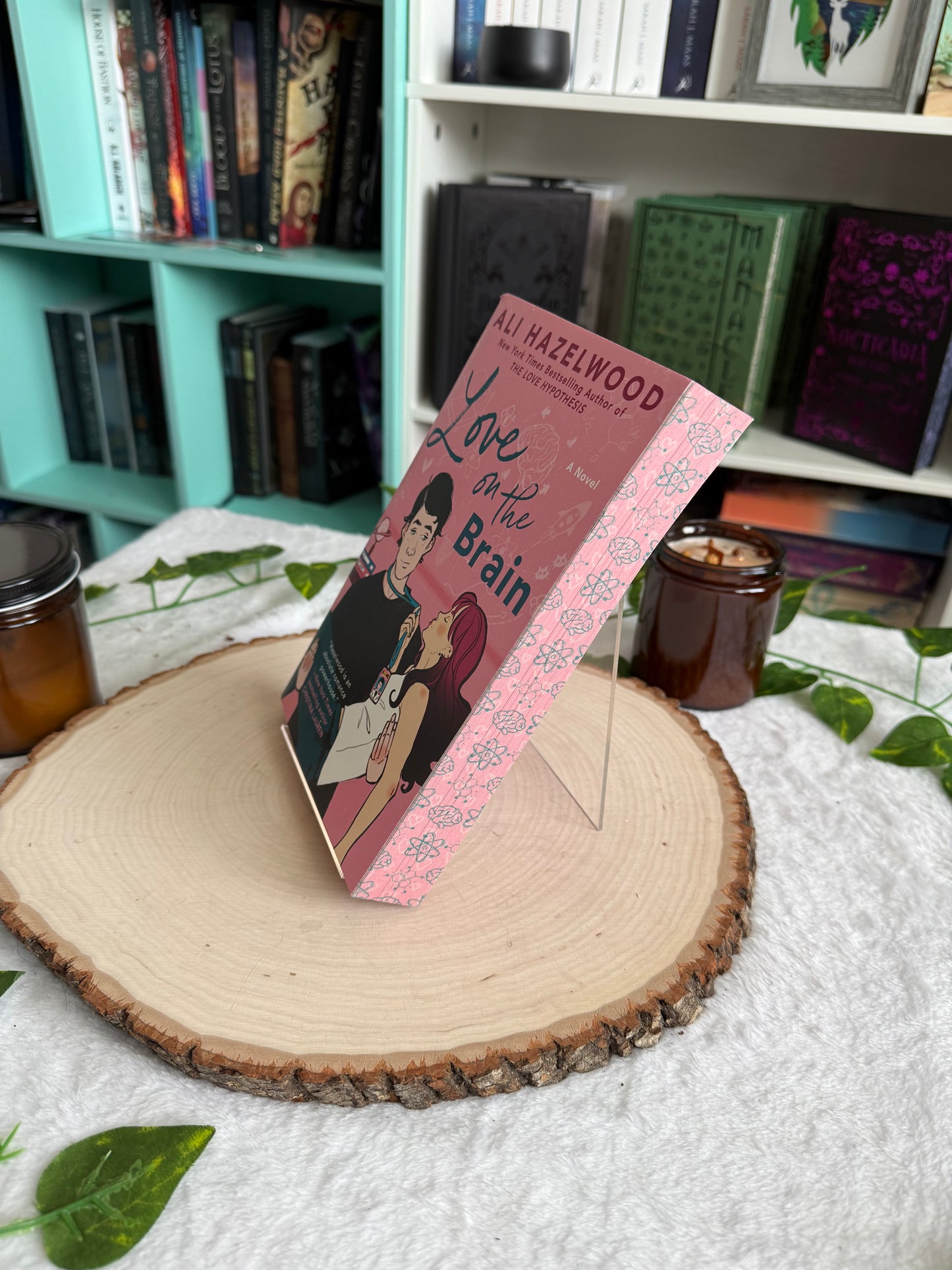 Ali Hazelwood STEM Romance Collection